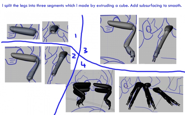 Creation of Ladybeetle: Step 6